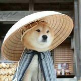 Minecraft_九狗头像