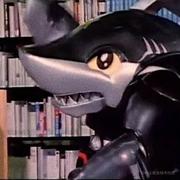 鲨鱼宝宝的个人资料头像