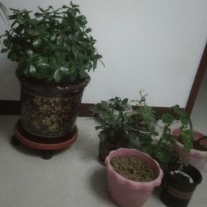 优尔的惬意生活头像