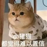 花与酒575头像