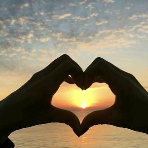 书生音乐汇头像