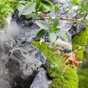 沉鱼落雁的倾城的个人资料头像