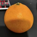咯个人生头像