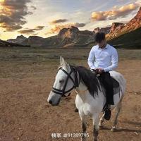 用户3928577728453头像