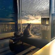 安浩辰的个人资料头像