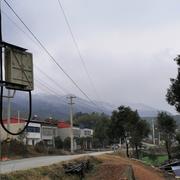 冯天的个人资料头像