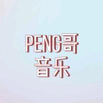 peng哥音乐头像