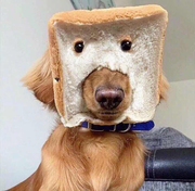 hi君的个人资料头像