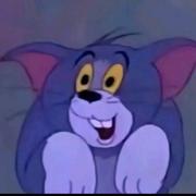 Ch445的个人资料头像