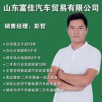富佳新能源哲哥特价车头像