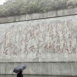 如影随形vc头像