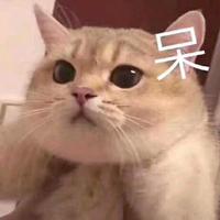 明暗6666头像