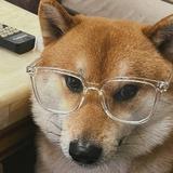 广西王大锤815头像