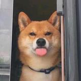 ღ头像