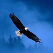 唯人自度的个人资料头像