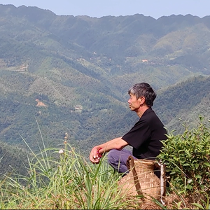 湖南蒙洱茶业头像