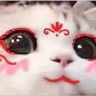 傲娇喵喵的个人资料头像