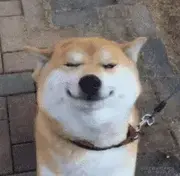 反内卷plus的个人资料头像