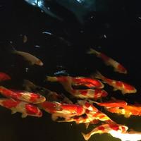 蔚蓝的天01头像