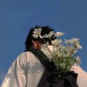 Z198的个人资料头像