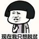 用户7379839078873头像