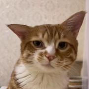 rolebyonly的个人资料头像