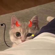 Asyouwish36的个人资料头像