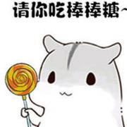 小二来了的个人资料头像