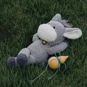 积极躺平份子的个人资料头像