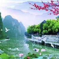 趋势的春风头像