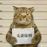 慢慢还债不放弃头像