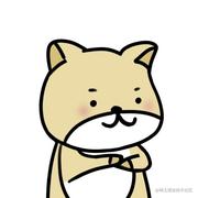 程序员柴宝的个人资料头像