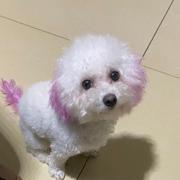 jdmdat的个人资料头像