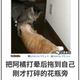 淡定熊猫4lC · 沃尔沃V60车主·车龄3年头像
