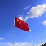 狂奔的黑兔头像