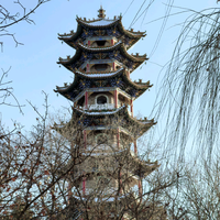 夏天里的冬至头像