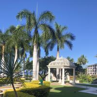 山海经海山闻见闻头像