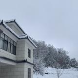 李银Feng头像