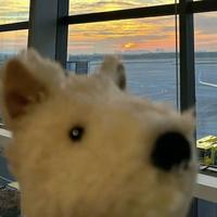 用户3274678810328头像