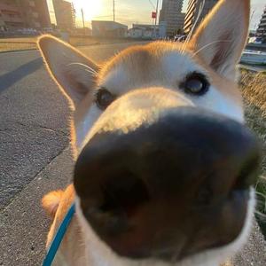 木子日尧59头像