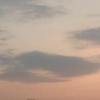 淡泊的熊猫x8A头像