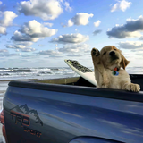 阿伟19890806头像