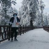 幸运生活家vg头像