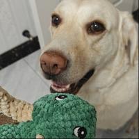 用户8278899449248头像