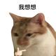 男波万一 · 岚图知音车主·车龄半年头像