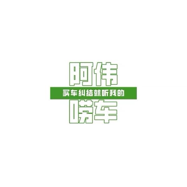 阿伟唠车头像