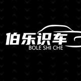 景洪伯乐识车头像