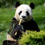 用户7035491355934头像