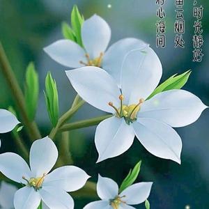 我就是我594168头像
