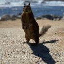 哥白尼的个人资料头像